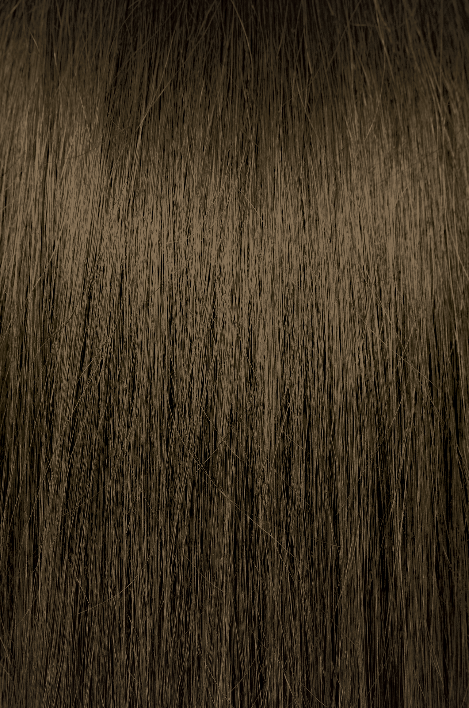 ChromaSilk Express Tones After Dark Neutral Ash - Brunette | PRAVANA