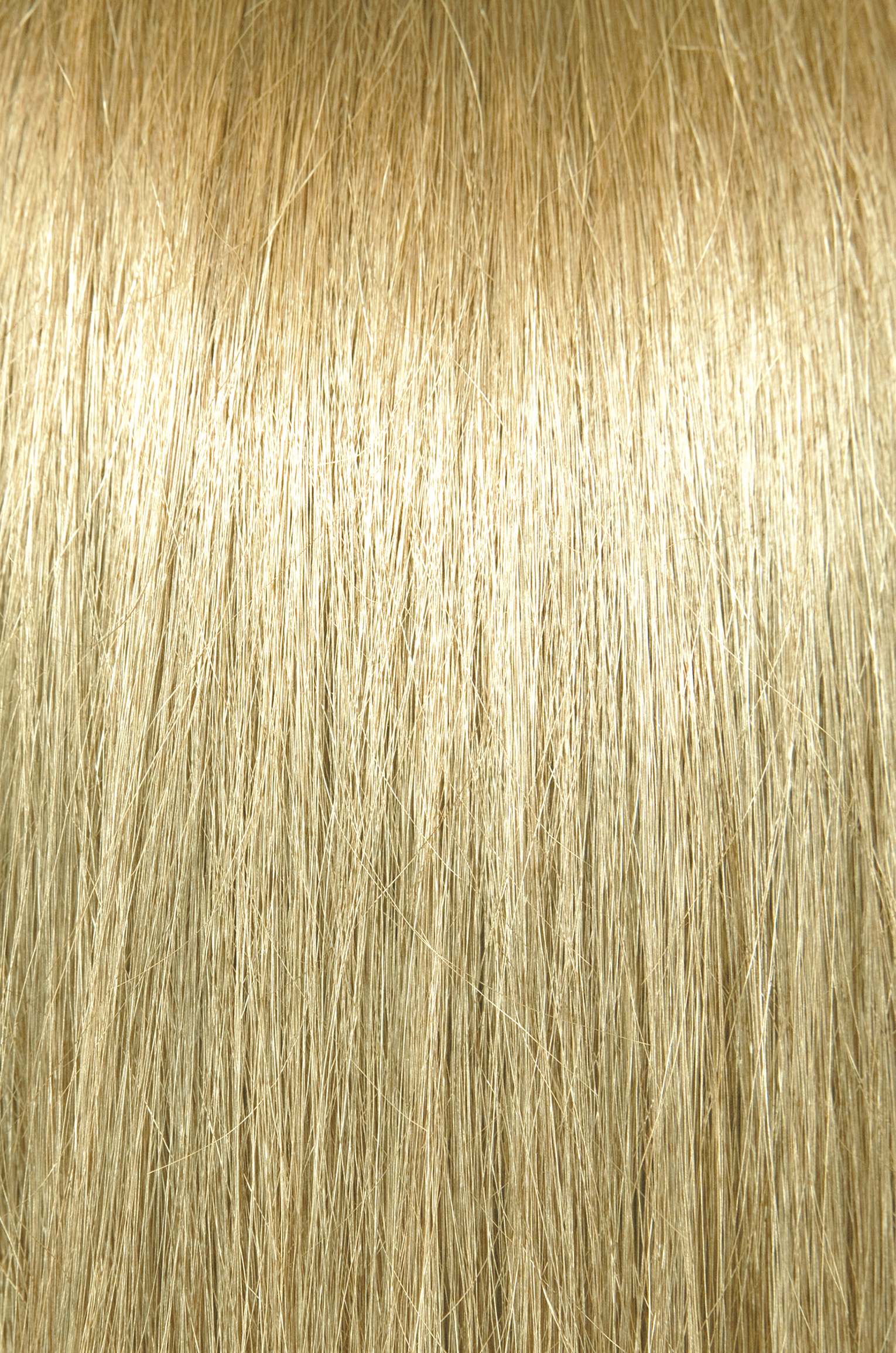 ChromaSilk Creme Color – Golden 10.03 | PRAVANA