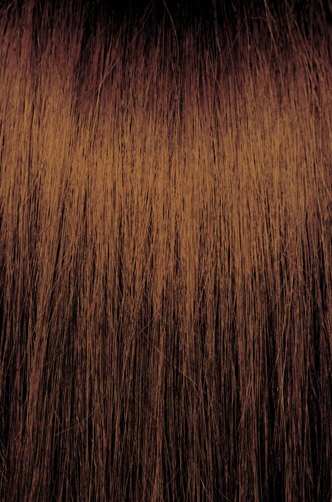 ChromaSilk Creme Color Rich Copper 5.45 PRAVANA