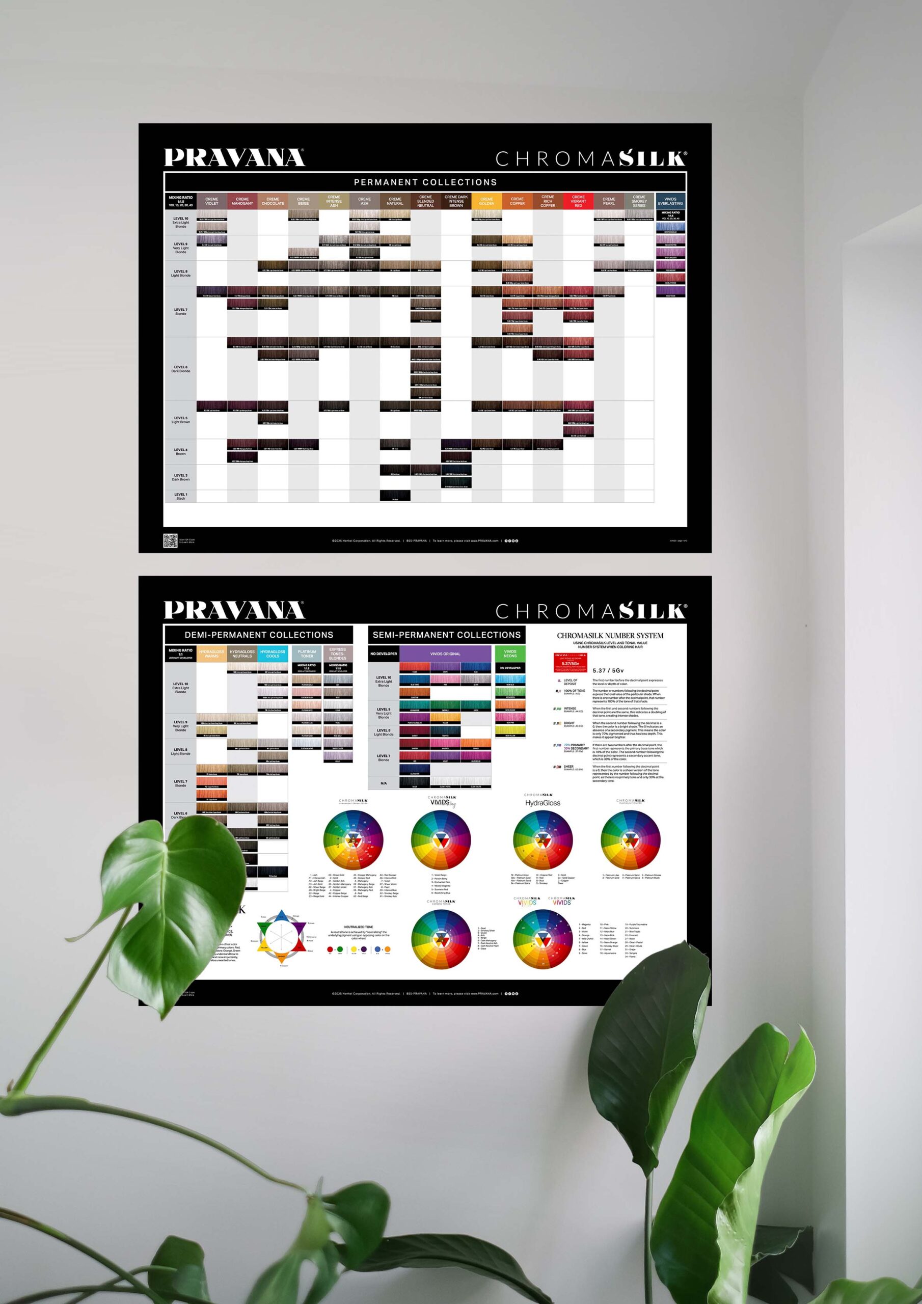 PRAVANA Color Chart preview on a wall