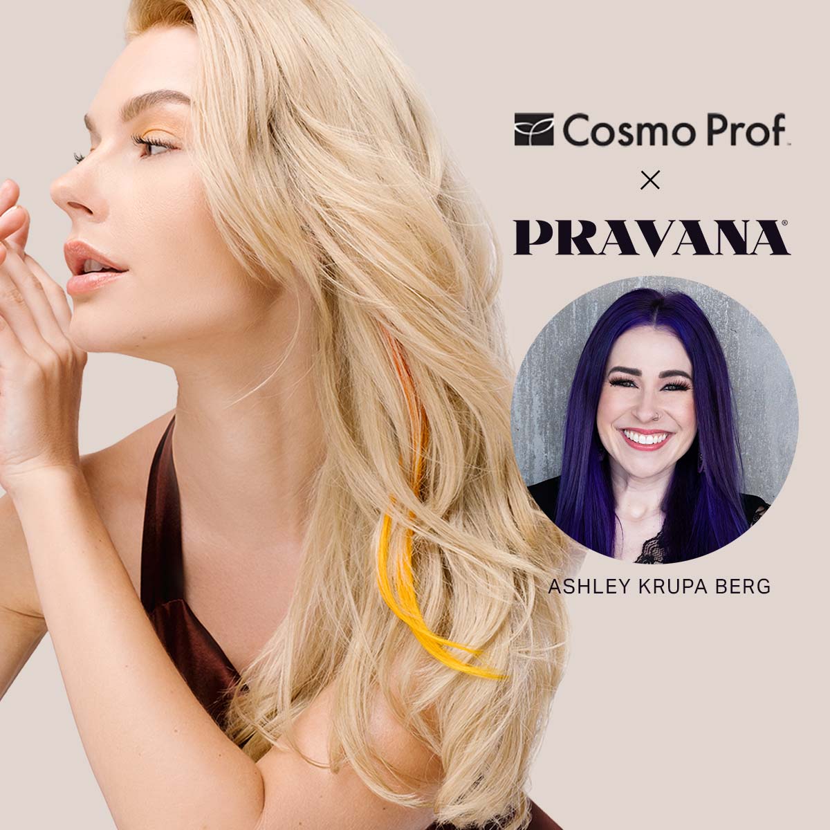 Shadow-Melt Mastery: Choreographing Your Color PRAVANA Digital Event by Ashley Krupa Berg