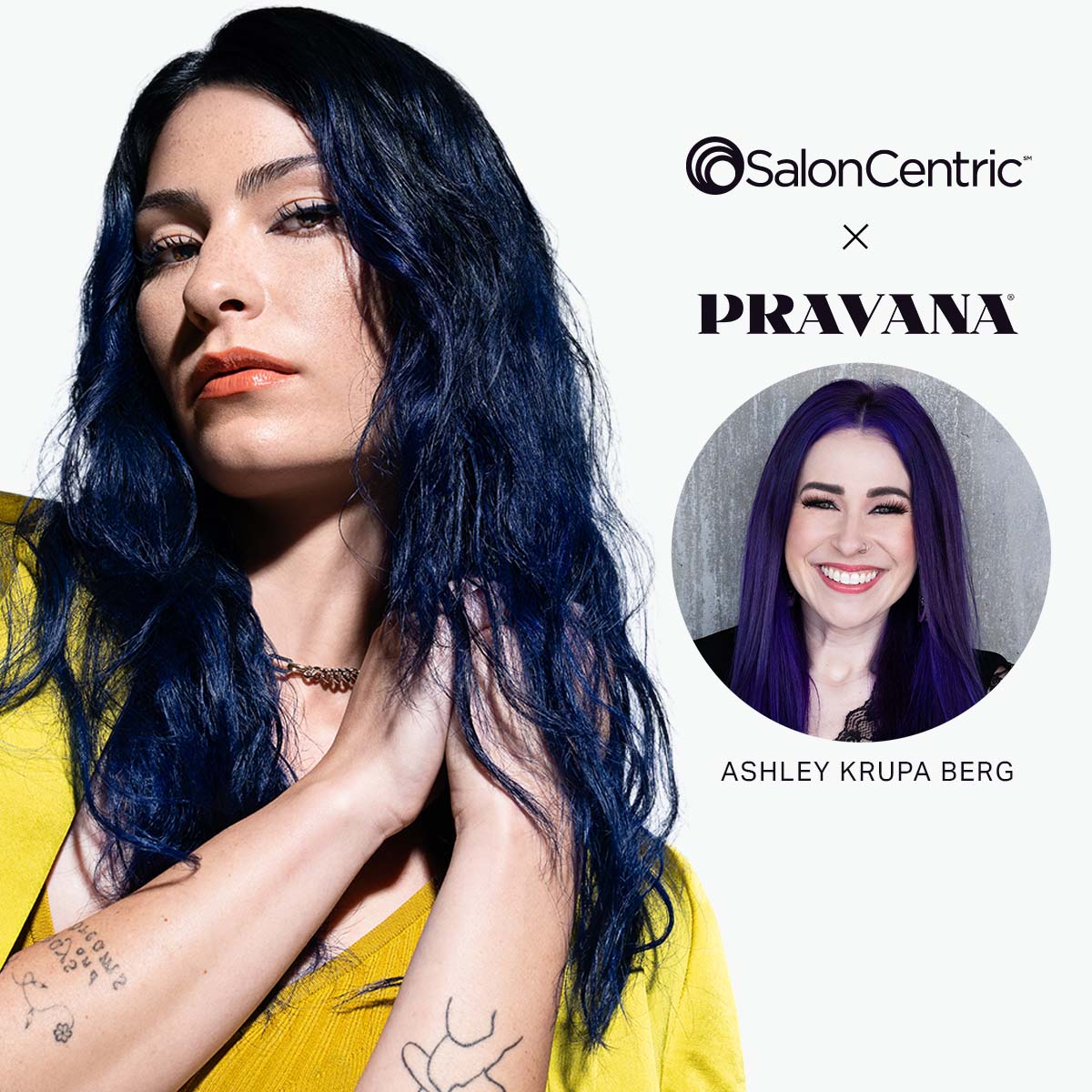 VIVIDS Essentials PRAVANA Digital Event by Ashley Krupa Berg