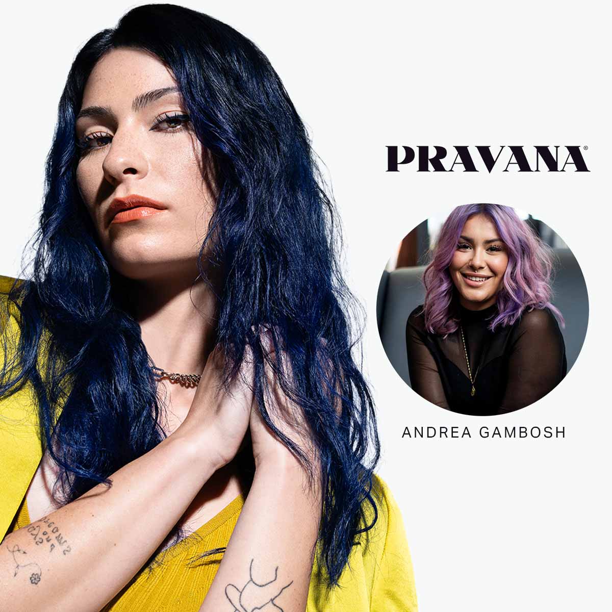 VIVIDS Essentials PRAVANA Digital Event by Andrea Gambosh